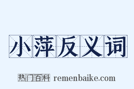 小萍反义词是什么意思的图片